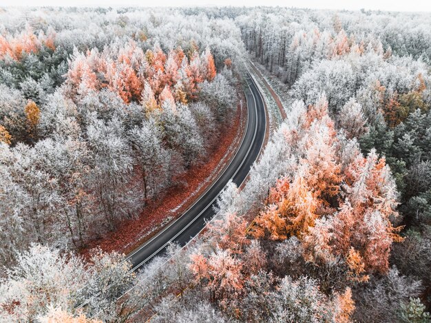 Winter asphalt road between colorful snowy forest with rime poland