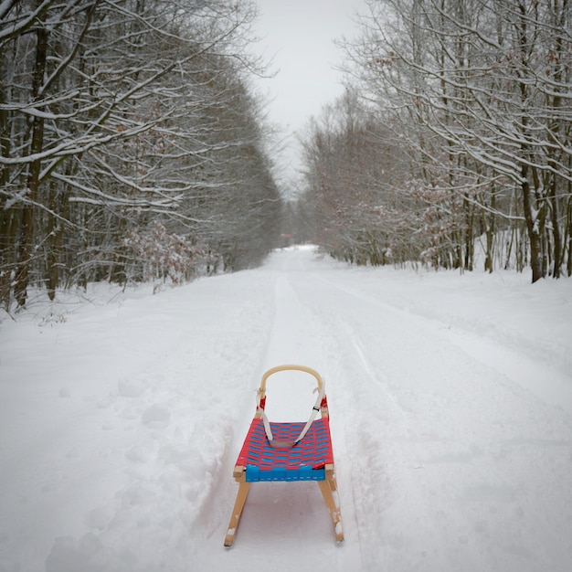 Photo winter background in nature with sled trees and snowy landscape during outdoor activities in winter