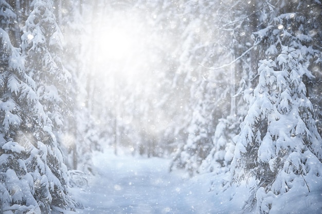 winter background snowfall trees abstract blurred white