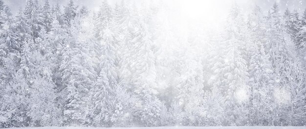 Photo winter background snowfall trees abstract blurred white
