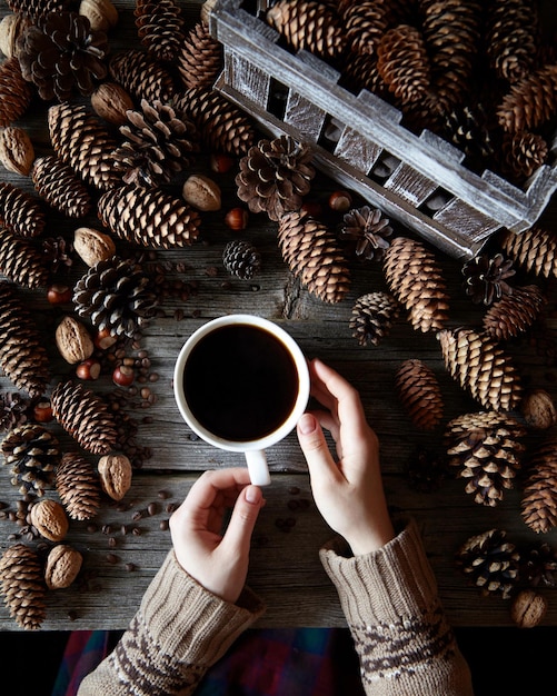 콘 컬렉션이 있는 겨울 배경 소나무 삼나무와 전나무 콘 컬렉션이 있는 나무 배경에 스웨터를 입은 여자 손에 든 커피 한 잔 플랫 레이 인스타그램 음료 구성