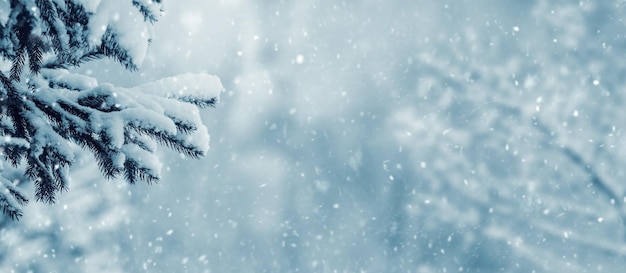 Зимний фон со снежной еловой веткой на размытом фоне во время снегопада