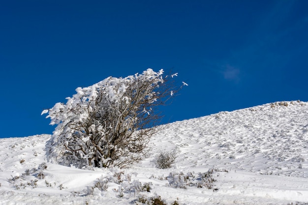 Winter background