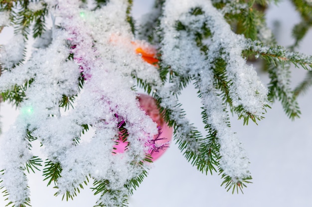 写真 冬。緑の松の枝にある美しいクリスマスグッズと雪