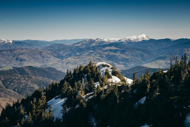 Winter bergen overblijfselen van sneeuw lente naaldbos