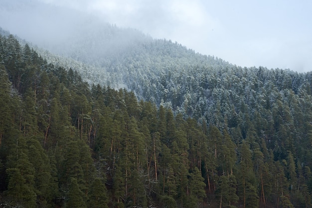 Winter berglandschap. Kleine stad tussen bergen. Een wolk hangt boven de stad.