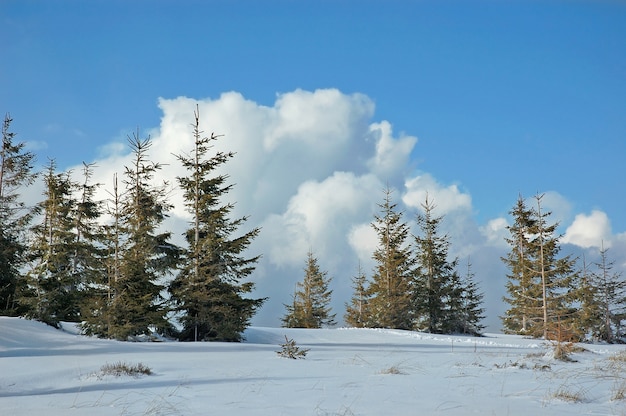 Winter berglandschap met besneeuwde weg bos heuvels sneeuw en blauwe hemel met wolken