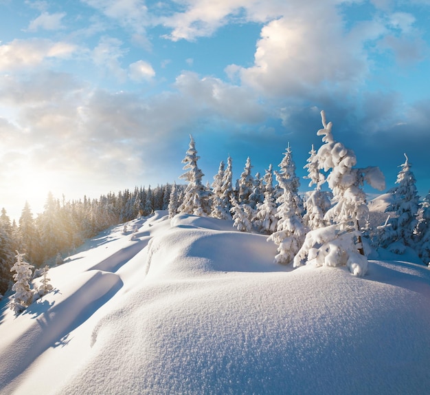 Winter berglandschap