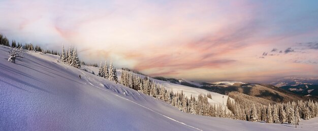 Winter bergpanorama landschap