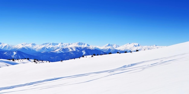Winter bergtoppen zijn bedekt met sneeuw Ski landschap Freeriding Wintersport Generatieve AI