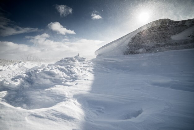 Winter besneeuwd veld op de achtergrond van een zonnige dag