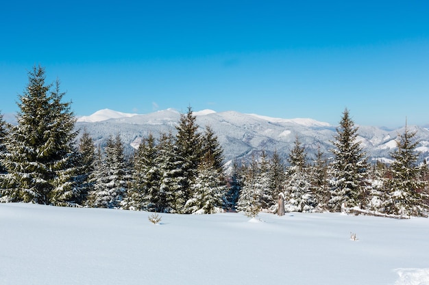 Winter besneeuwde Karpaten Oekraïne