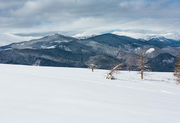 Winter besneeuwde Karpaten Oekraïne