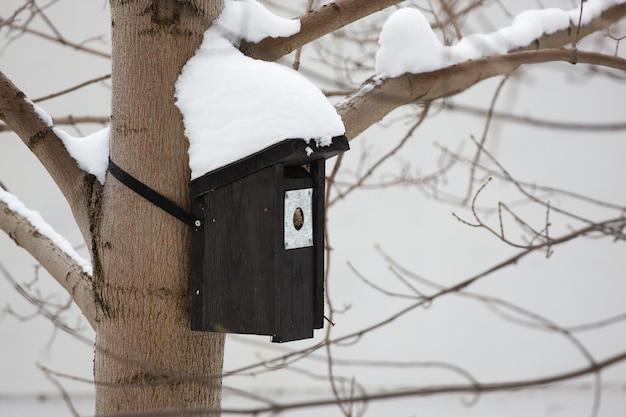 Winter bird house