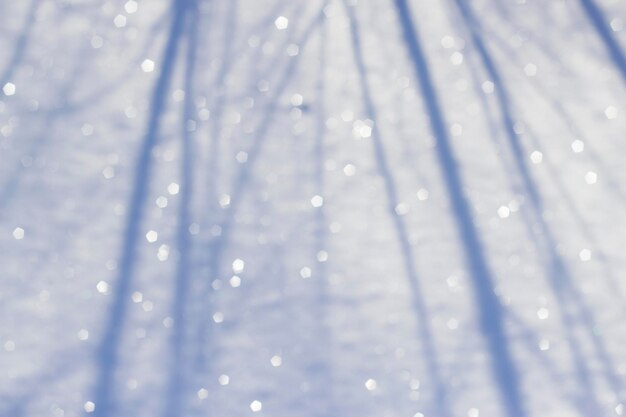 winter blurred background with snow surface and tree shadow