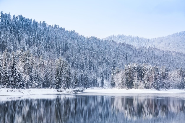 Winter bos rivierlandschap. Sneeuw bedekte bomen en rivier met reflecties tegen de berg. Altai Republiek, Rusland.