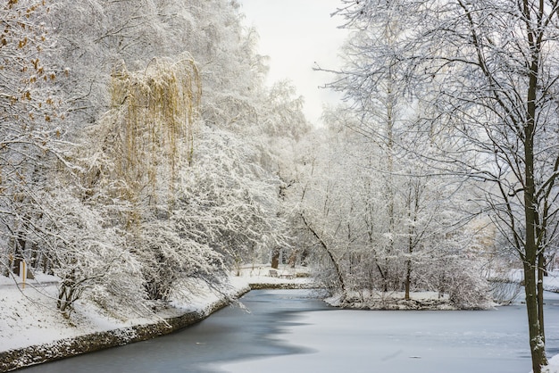 Winter boslandschap. Bomen onder een dikke laag sneeuw. Rusland, Moskou, Sokolniki-park