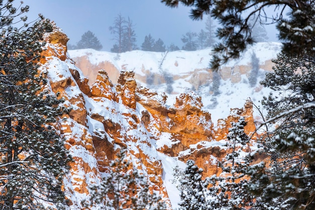 Winter in bryce canyon national park, close-up on unique rock\
formations in utah covered in snow