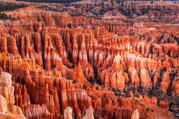 Winter in Bryce Canyon National Park, Utah, USA