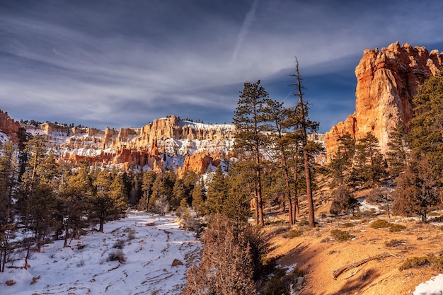 Winter in Bryce Canyon National Park, Utah, USA