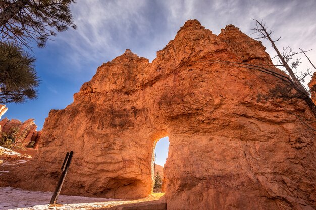 Winter in Bryce Canyon National Park, Utah, USA