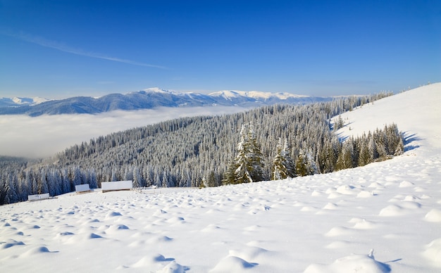겨울의 고요한 산 풍경(Bukovel 스키 리조트(우크라이나)에서 Svydovets 능선까지의 전망)