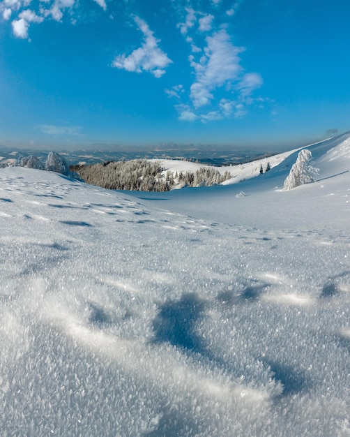 Зимний спокойный горный пейзаж с красивыми ледяными деревьями и сугробами на склоне. Составное изображение со значительной глубиной резкости и макроснежинками на переднем плане.