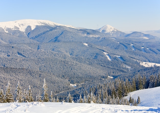 Inverno calmo paesaggio di montagna con rime e abeti innevati e piste di sci alpino talee in una foresta