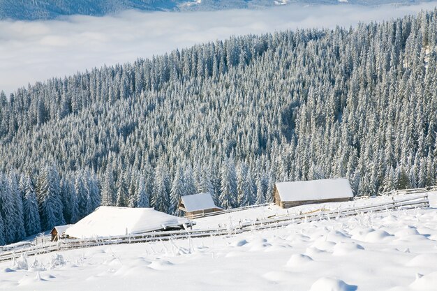 霧氷と雪に覆われたトウヒの木と森の近くの小屋グループと冬の穏やかな山の風景