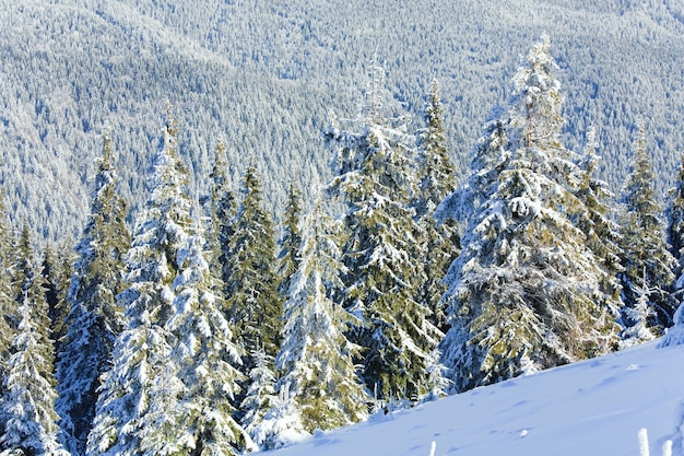 수빙과 눈 덮인 가문비나무가 있는 겨울의 고요한 산 풍경
