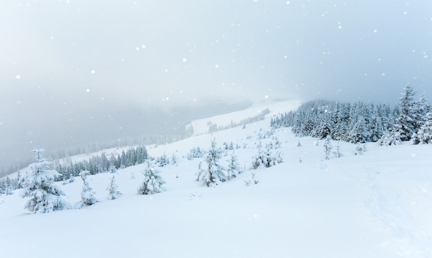 Winter calm mountain landscape with snowfall