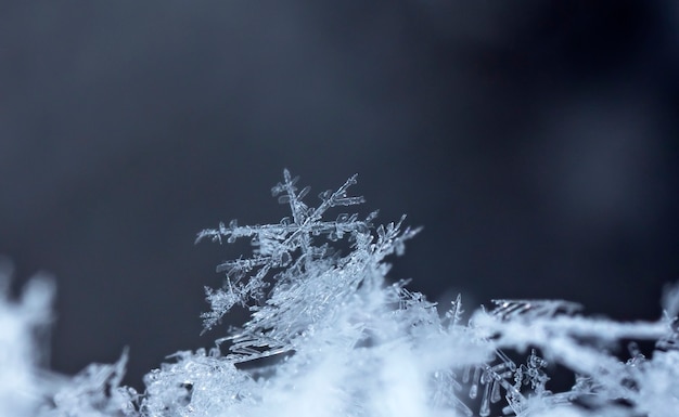 Foto carta invernale cristalli di neve foto invernale
