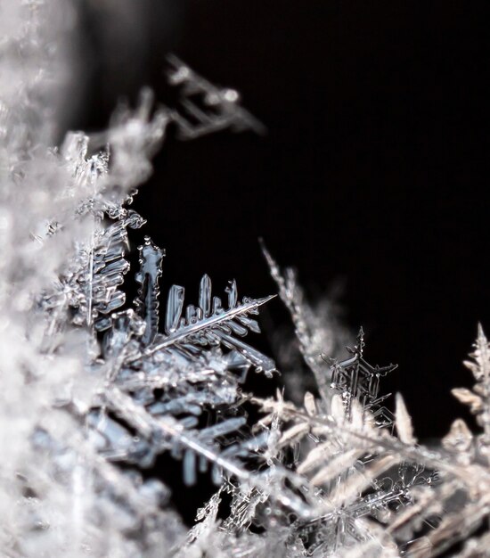 Carta invernale cristalli di neve foto invernale