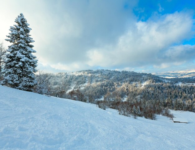 Winter Carpathian Mountains landscape Ukraine