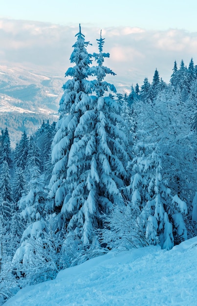 冬のカルパティア山脈の風景ウクライナ