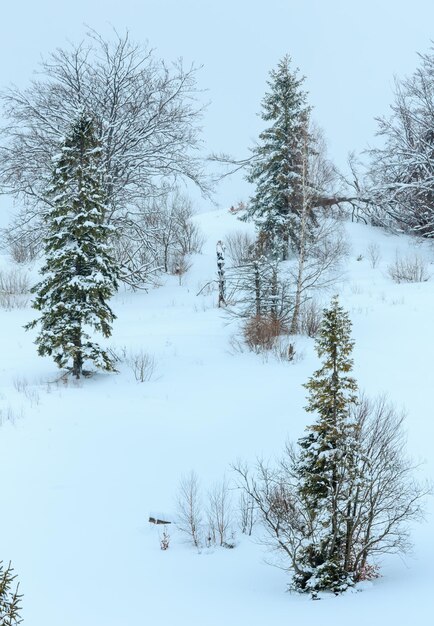 Winter Carpathian Mountains landscape