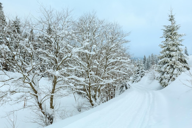 Winter Carpathian Mountains landscape