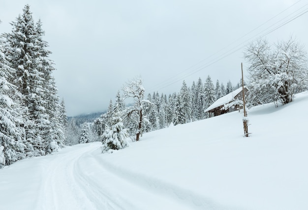 Winter Carpathian Mountains landscape