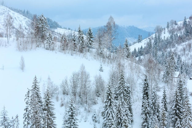 Winter Carpathian Mountains landscape