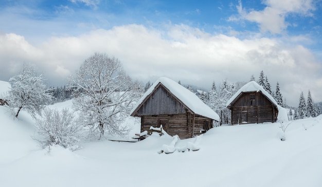 冬のカルパティア山脈の風景