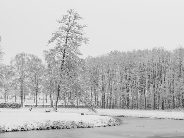 winter castle