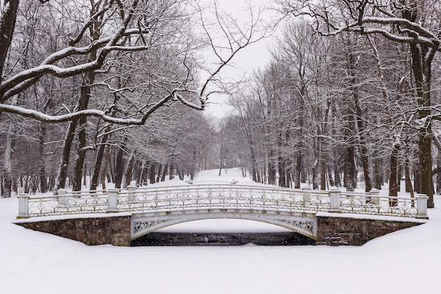 Ponte del parco di caterina d'inverno