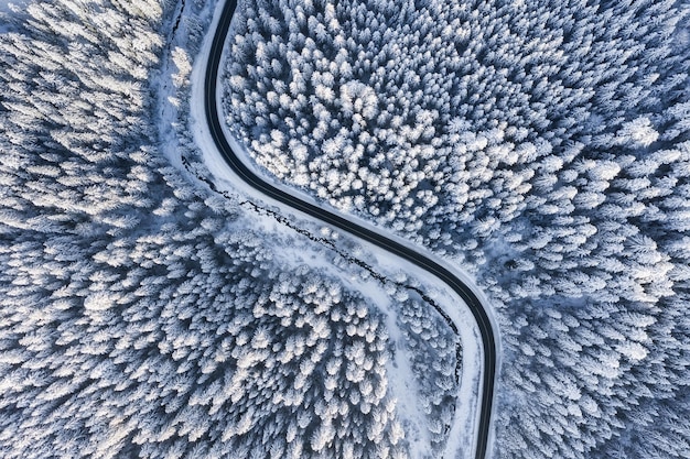冬の寒さ 空から見た自然の冬の風景 冬の道路と森の空撮 森と雪