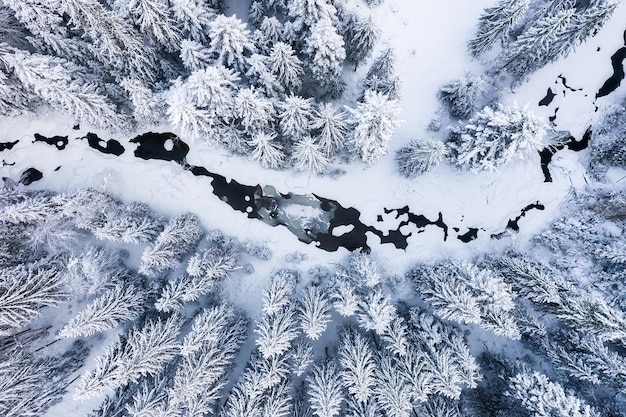 Winter chill Natuurlijk winterlandschap vanuit de lucht Luchtfoto op de rivier en het bos in de winter Bos onder de sneeuw