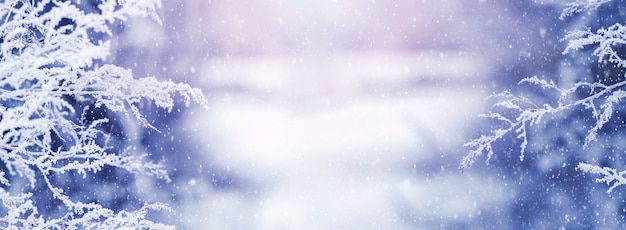 Ngập tràn cảm hứng giáng sinh với những bức ảnh nền Giáng Sinh đông đá tuyết phủ mang đến không khí thật trọn vẹn của mùa lễ hội. Những cành cây, những đồ trang trí đầy màu sắc và tuyết xóa tan đi nỗi nhớ giáp xuân sắp tới. Hãy cùng khám phá bộ sưu tập này để cảm nhận tình yêu thương trong mùa Noel này.