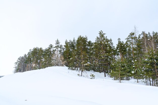 Winter christmas idyllic landscape