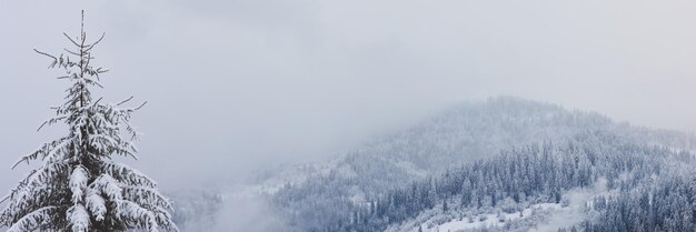 山の雪に覆われた松林の冬のクリスマスのシーンビュー