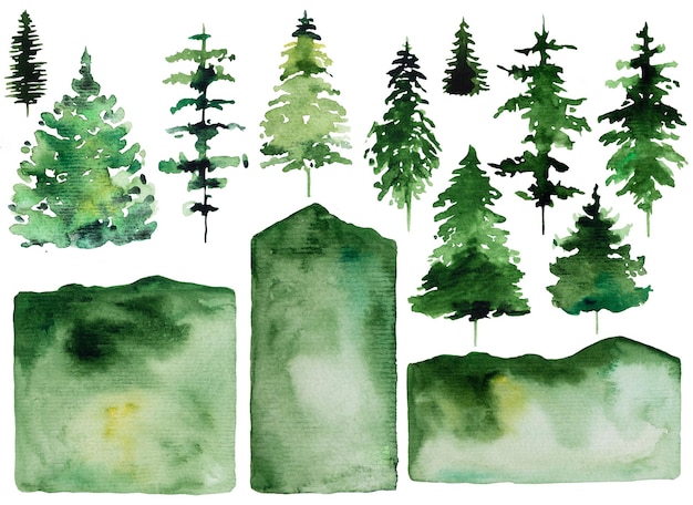 Photo winter christmas watercolors set with green coniferous trees and green spots isolated