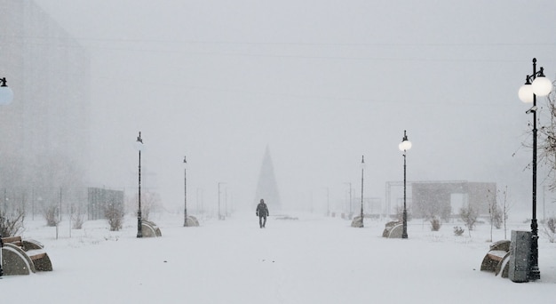 Photo winter city park in a blizzard