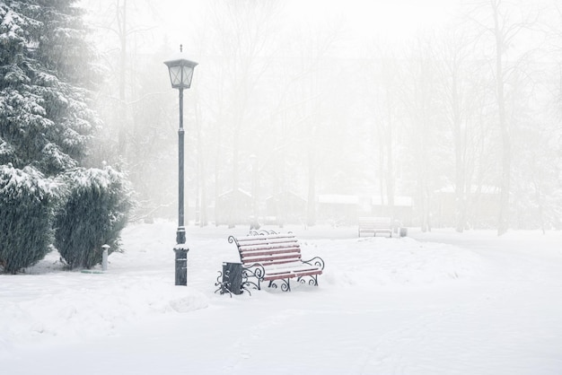 Winter city park with snow and city silhouette Bench in winter city park